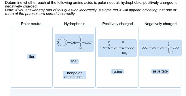 hydrophobic amino acids and neutral polar amino acids