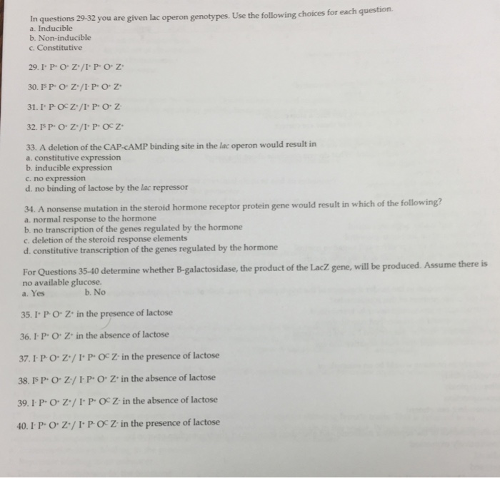 Inducible Noninducible Constitutive I^ P^ O^
