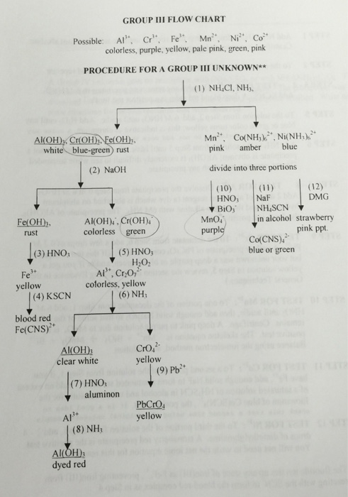 Solved GROUP III PRELAB A deep blue Group IlI unknown formed | Chegg.com