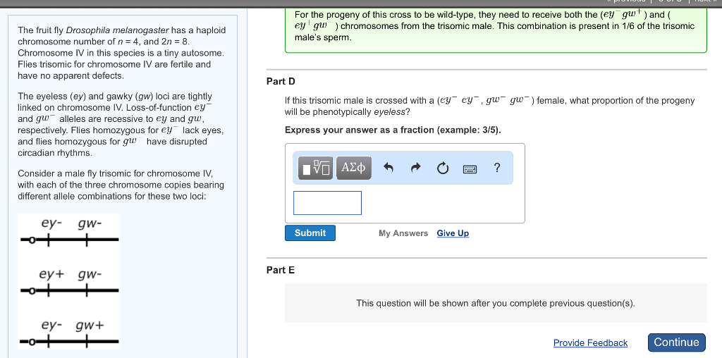 Solved The fruit fly Drosophila melanogaster has a haploid