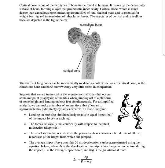 Solved Cortical bone is one of the two types of bone tissue | Chegg.com