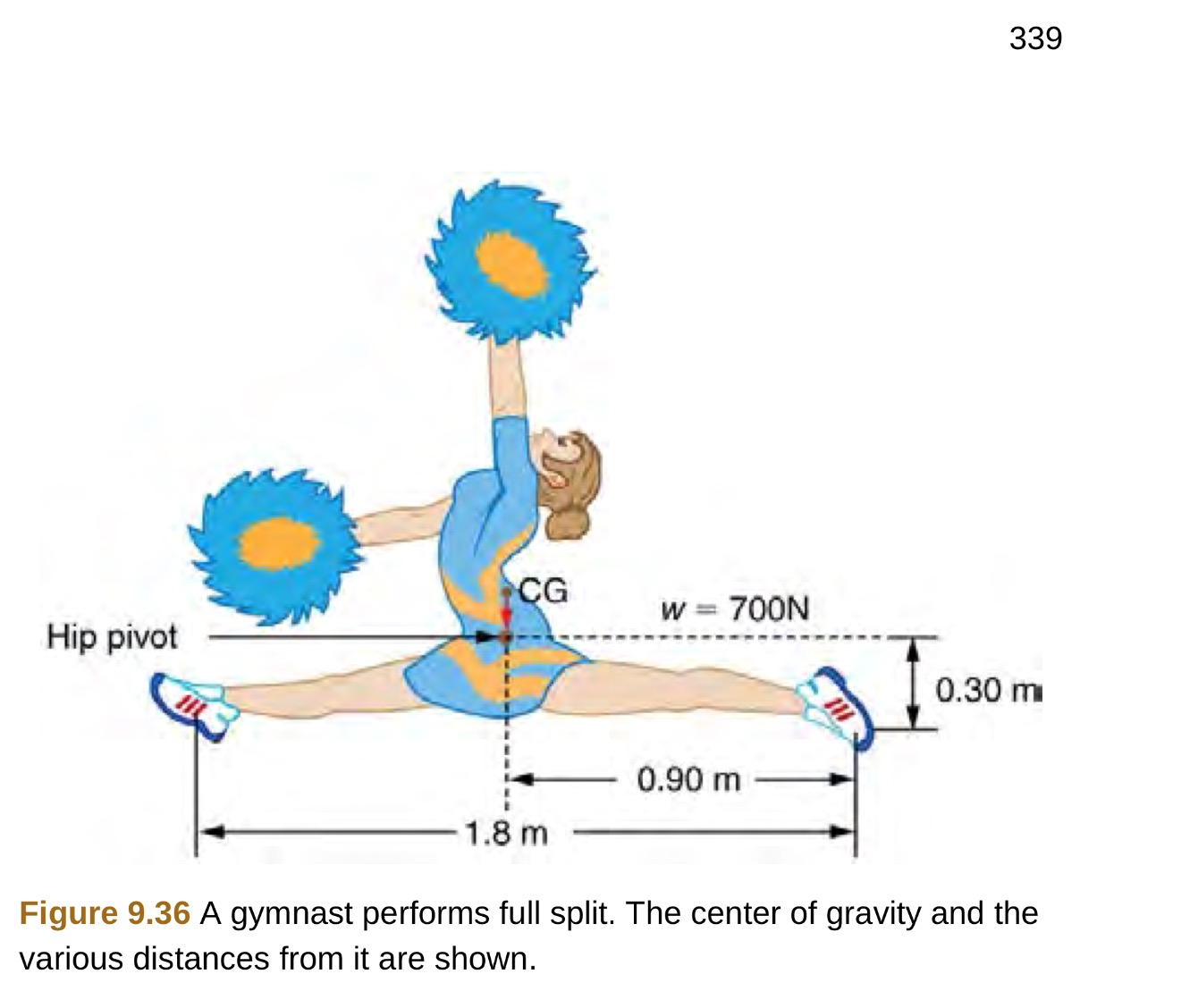 Split Force Calculation Example Solved A gymnast is attempting to perform splits. From the | Chegg.com