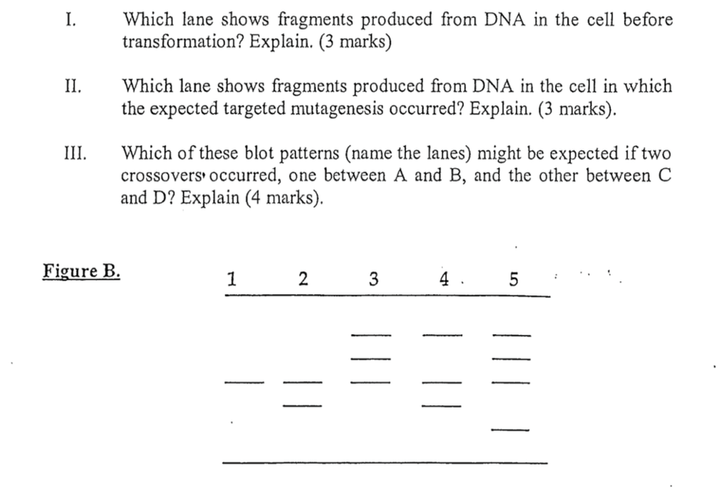 Solved You are studying the expression of genes linked to a | Chegg.com