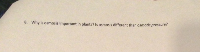 solved-why-is-osmosis-important-in-plants-is-osmosis-chegg