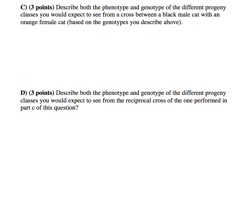 genetics essay questions and answers