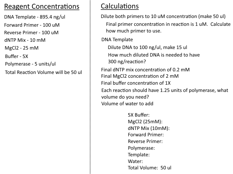 Solved DNA Template 895.4 ng/ul Forward Primer 100 uM