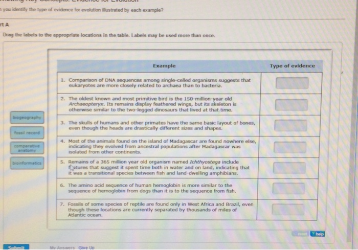 Solved Eviewing Key Concepts: Evidence For Evolution N You | Chegg.com