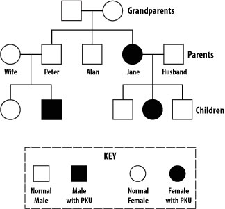 Solved The genetic disorder phenylketonuria (PKU) is caused | Chegg.com