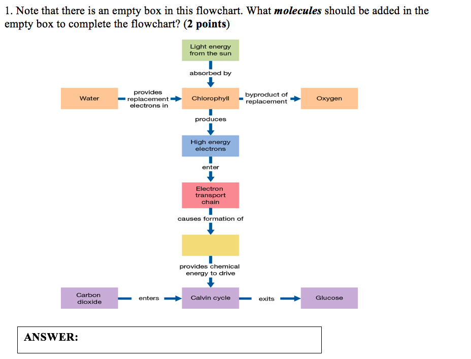 Solved 1. Note that there is an empty box in this flowchart. | Chegg.com