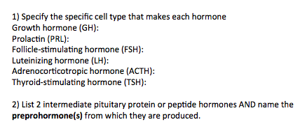 Solved Specify the specific cell type that makes each | Chegg.com