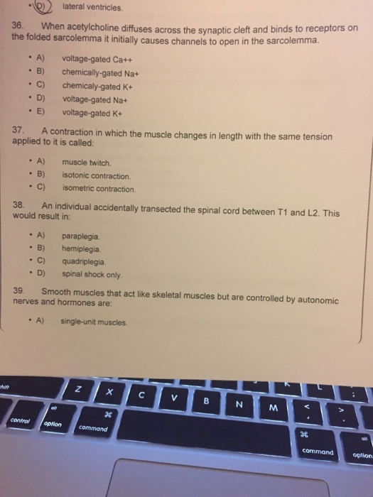 Solved When Acetylcholine Diffuses Across The Synaptic Cl...