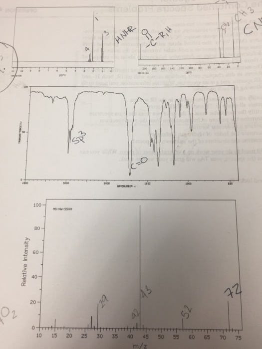 Solved .11よ ぱ 100 80 60 40一, 01 0+TTT++TTtTTTTTTt | Chegg.com