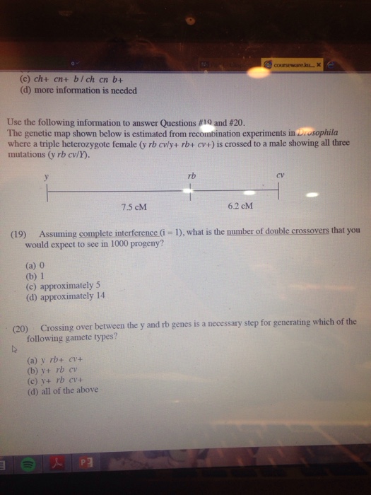 Solved Use The Following Information To Answer Questions #19 | Chegg.com