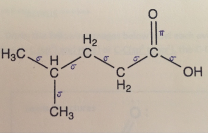 Solved Label the hybridization around each Carbon atom in | Chegg.com