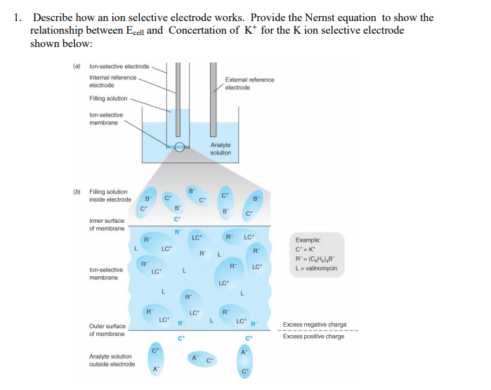 Solved 1. Describe how an ion selective electrode works.