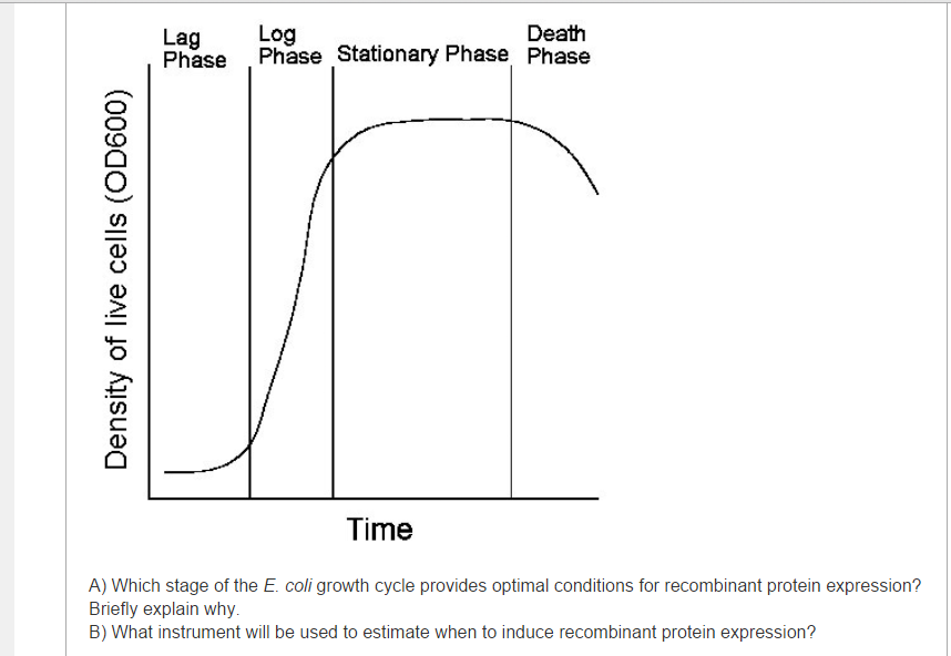 solved-log-death-lag-phase-phase-stationary-phase-phase-time-chegg