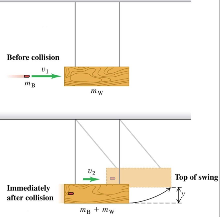 solved-if-mb-5-00g-mw-2-00kg-and-y-3-cm-what-is-the-chegg