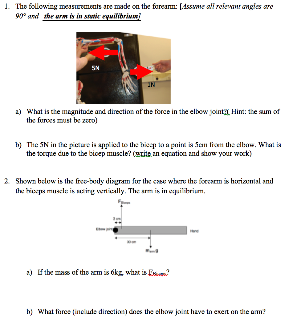Solved The following measurements are made on the forearm