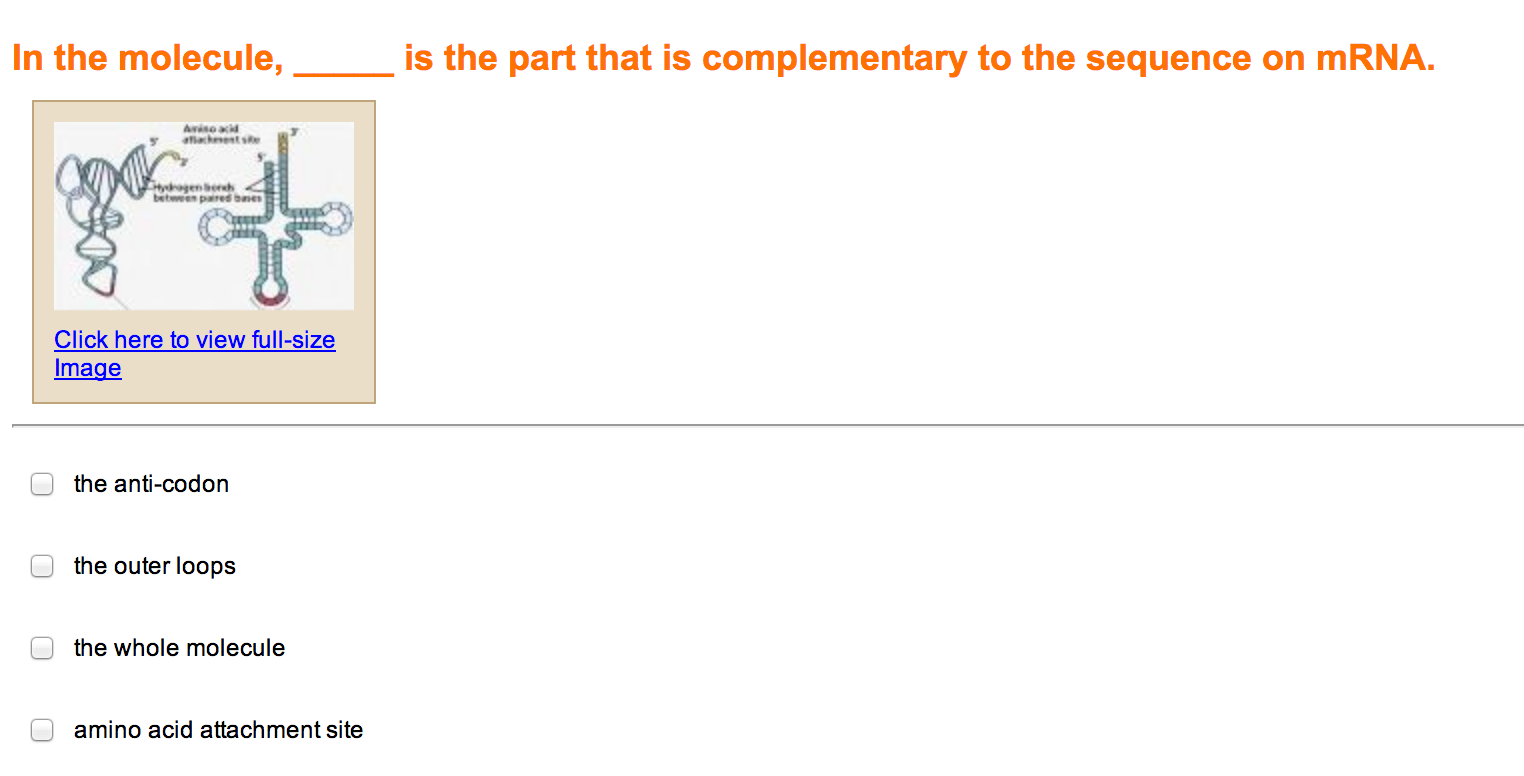 solved-what-does-it-mean-for-a-gene-to-be-expressed-in-chegg