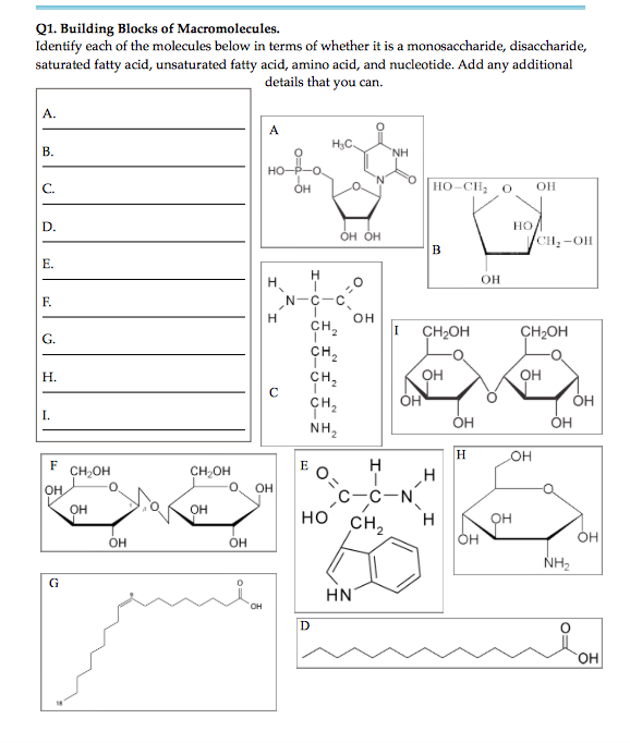 Solved Q1. Building Blocks of Macromolecules. Identify each