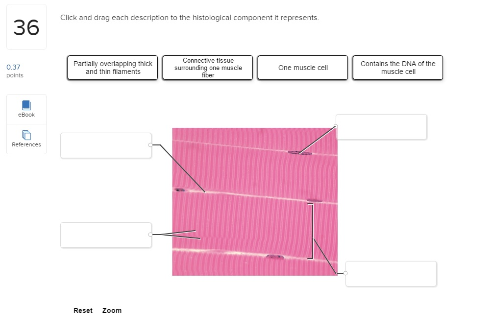 Match The Component Of A Muscle Cell With Its Description. Biology Archive | July 08, 2017 | Chegg.com