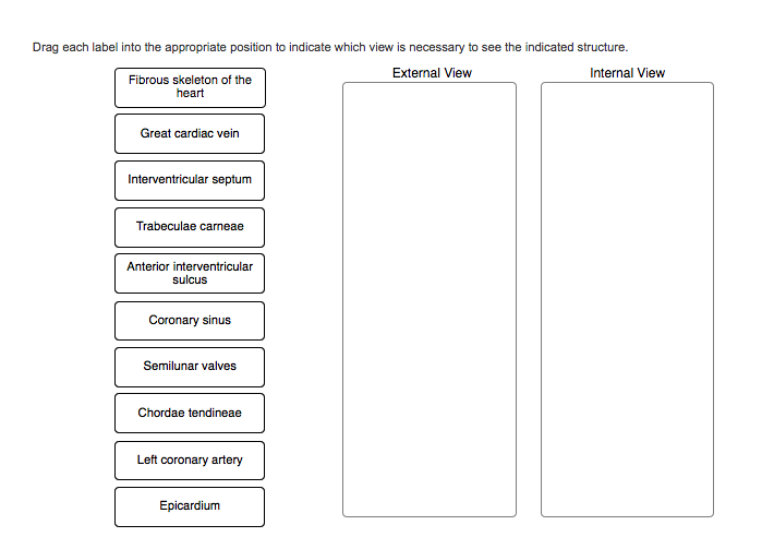 Solved Drag each label into the appropriate position to | Chegg.com