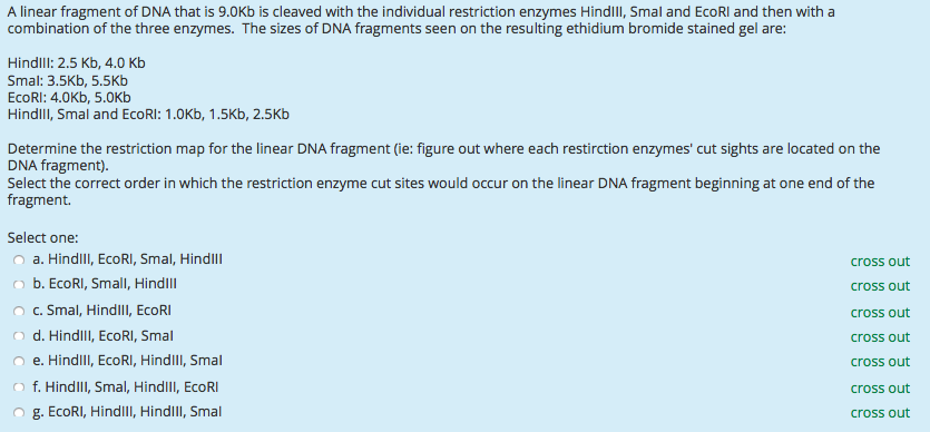 Solved A linear fragment of DNA that is 9.0Kb is cleaved | Chegg.com