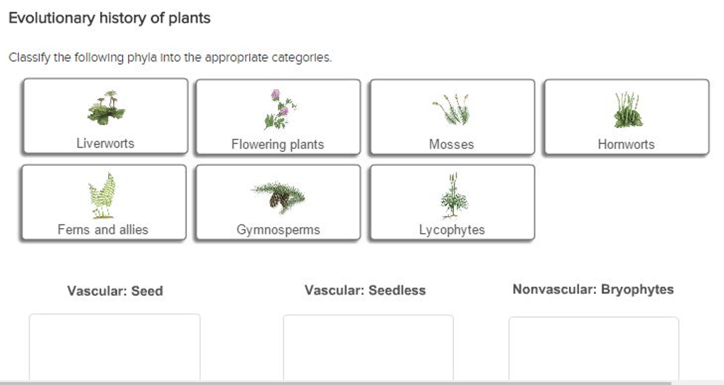 Solved Classify the following phyla into the appropriate | Chegg.com