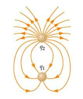 Solved The electric field lines for two charges, q1 and q2, | Chegg.com