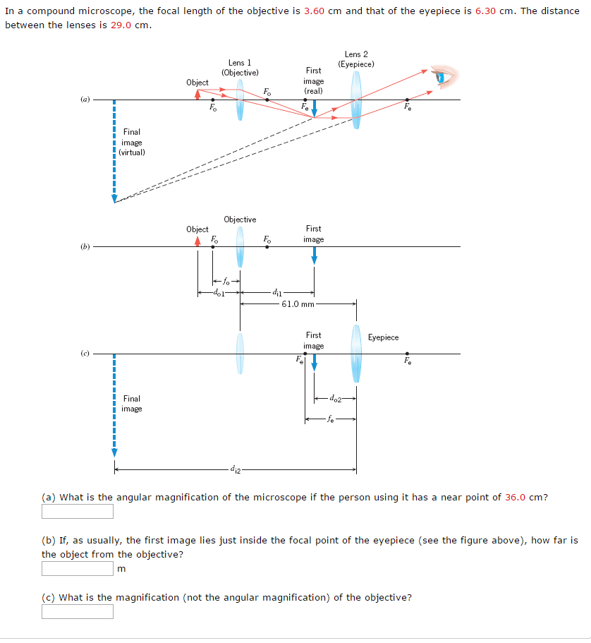 Solved In a compound microscope, the focal length of the