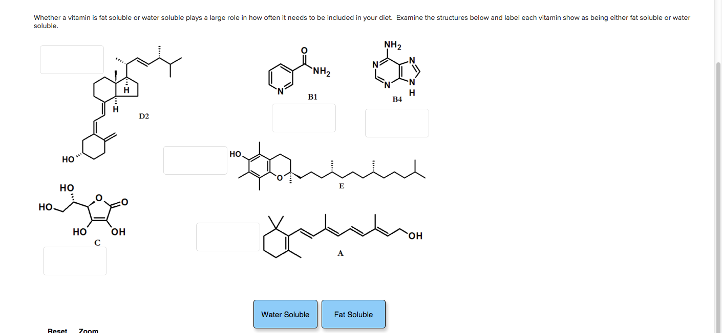 Solved Whether a vitamin is fat soluble or water soluble | Chegg.com