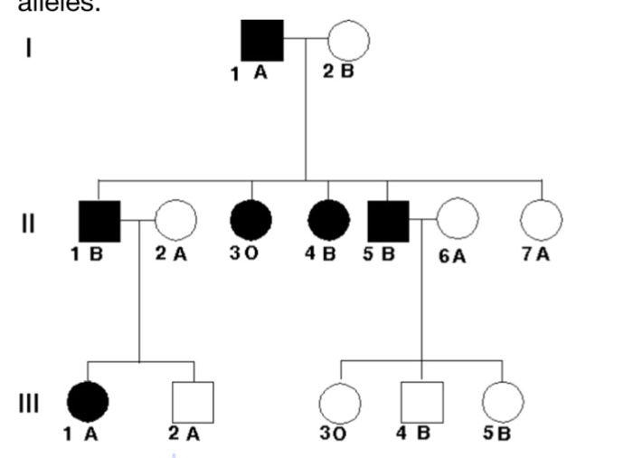 Blood Group Pedigree Chart