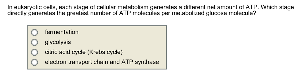 Solved In eukaryotic cells, each stage of cellular | Chegg.com