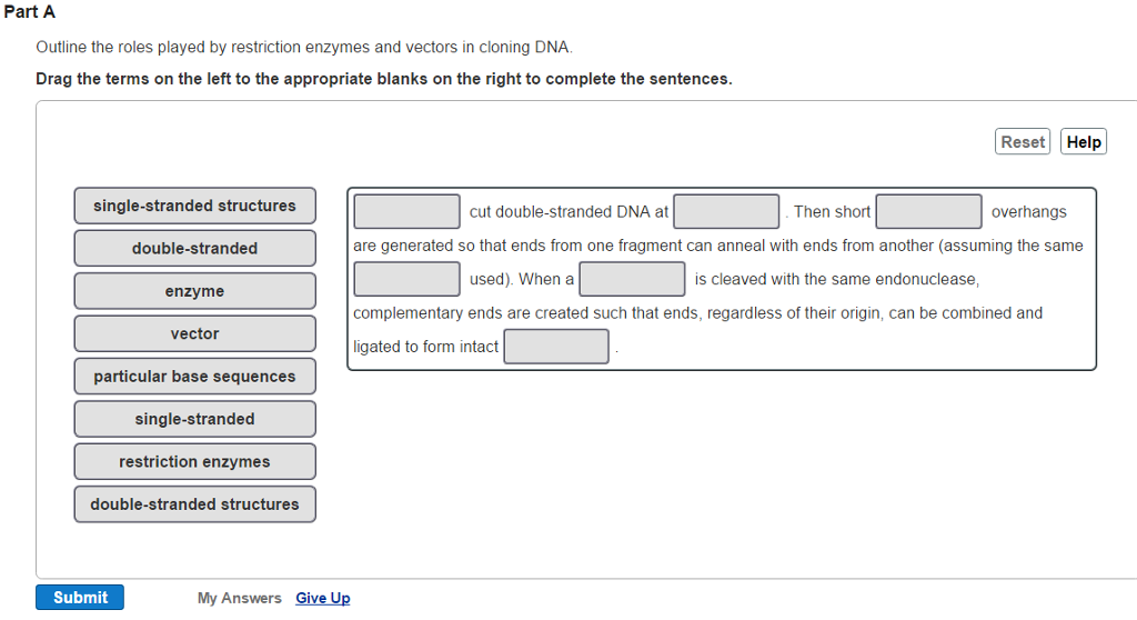 Solved Outline the roles played by restriction enzymes and | Chegg.com