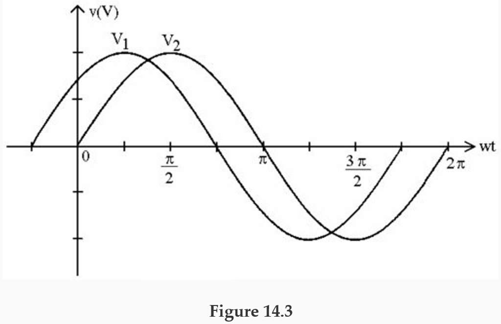 Solved Question 31 (1 point) Figure 14.3 See | Chegg.com