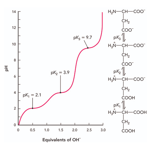 Solved The titration of a base into a solution of aspartate | Chegg.com