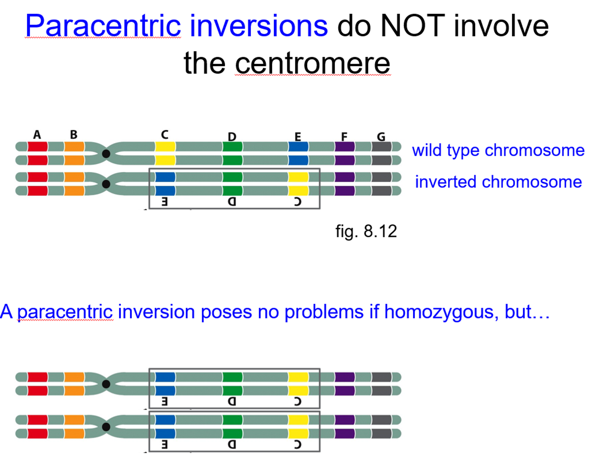 solved-crossing-over-and-recombination-within-the-inversion-chegg