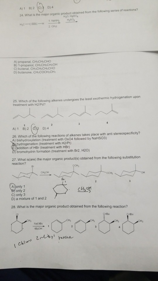 Solved 24. What is the major organic product obtained from | Chegg.com