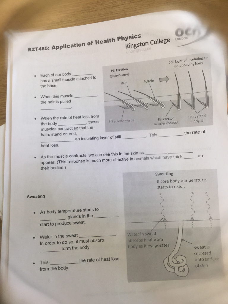 Solved Kingston College LONDON BZT485 Application Of Health Chegg