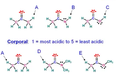 Solved Rank protons from most acidic to least acidic. | Chegg.com