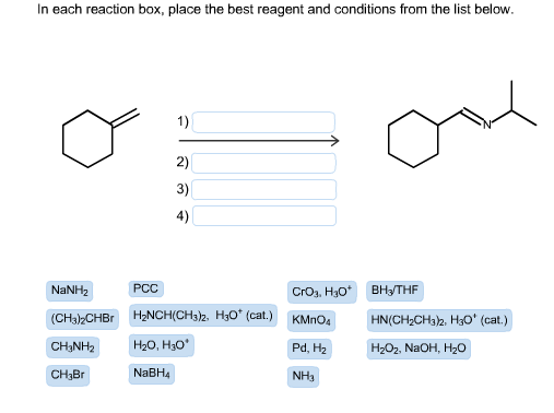 Solved In each reaction box, place the best reagent and | Chegg.com