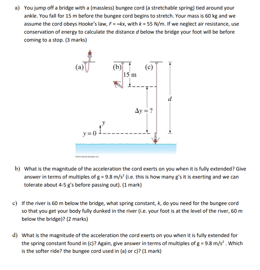 Solved a) You jump off a bridge with a (massless) bungee