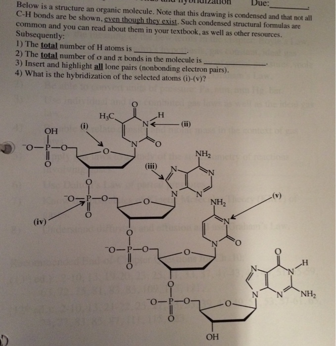 Below is a structure an organic molecule. Note that | Chegg.com