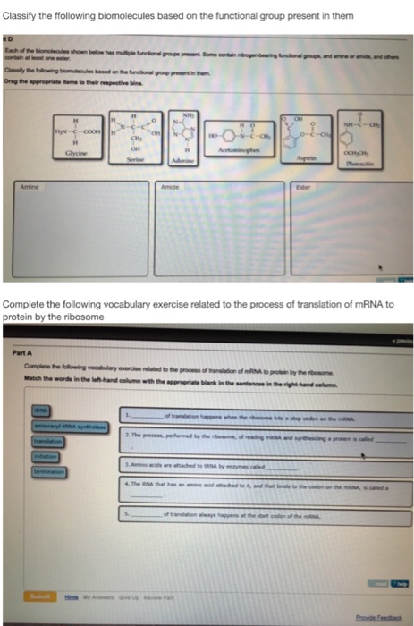 Solved Classify the ffollowing biomolecules based on the | Chegg.com