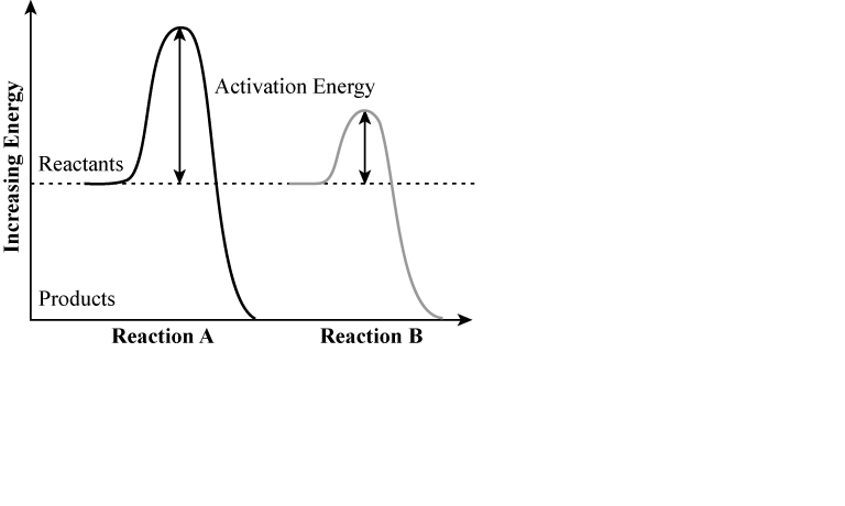 Solved The graph below shows the activation energy required | Chegg.com