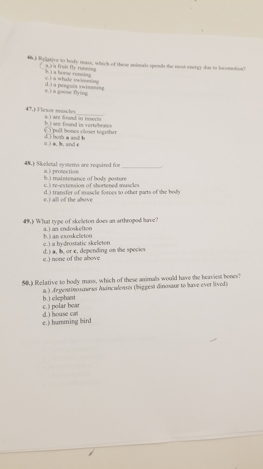 Solved 46.) Relative to body mass, which of these animals | Chegg.com