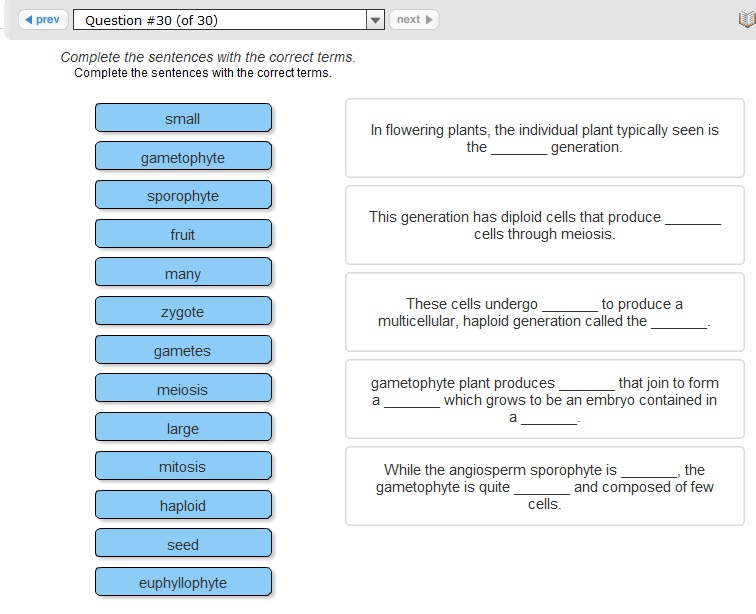 Solved Complete The Sentences With The Correct Terms