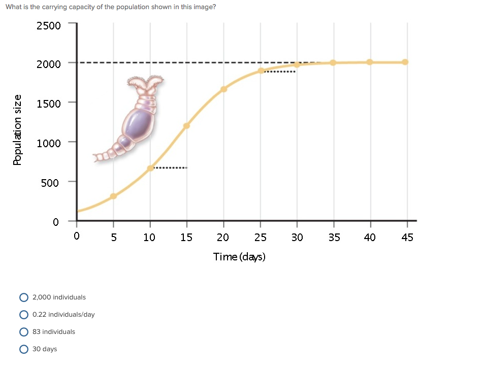 solved-what-is-the-carrying-capacity-of-the-population-shown-chegg