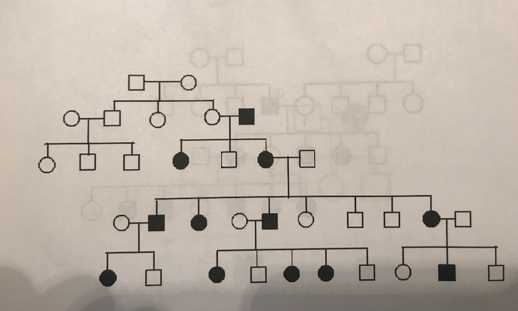 Solved The disease presented in the pedigree above could be | Chegg.com