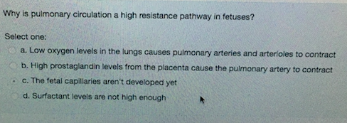 Solved Why Is Pulmonary Circulation A High Res Stance 